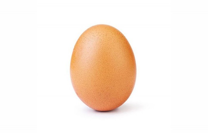 Фото куриного  яйца набрала 26 000 000 лайков и это абсолютный рекорд (фото дня)