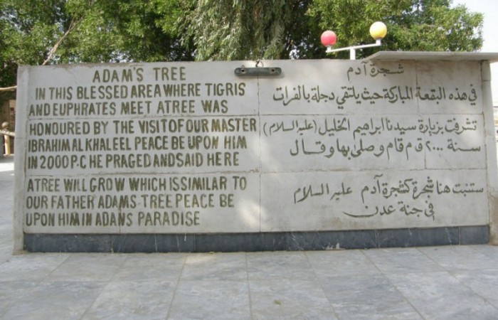 Дерево Адама и Евы в Ираке (фото дня)