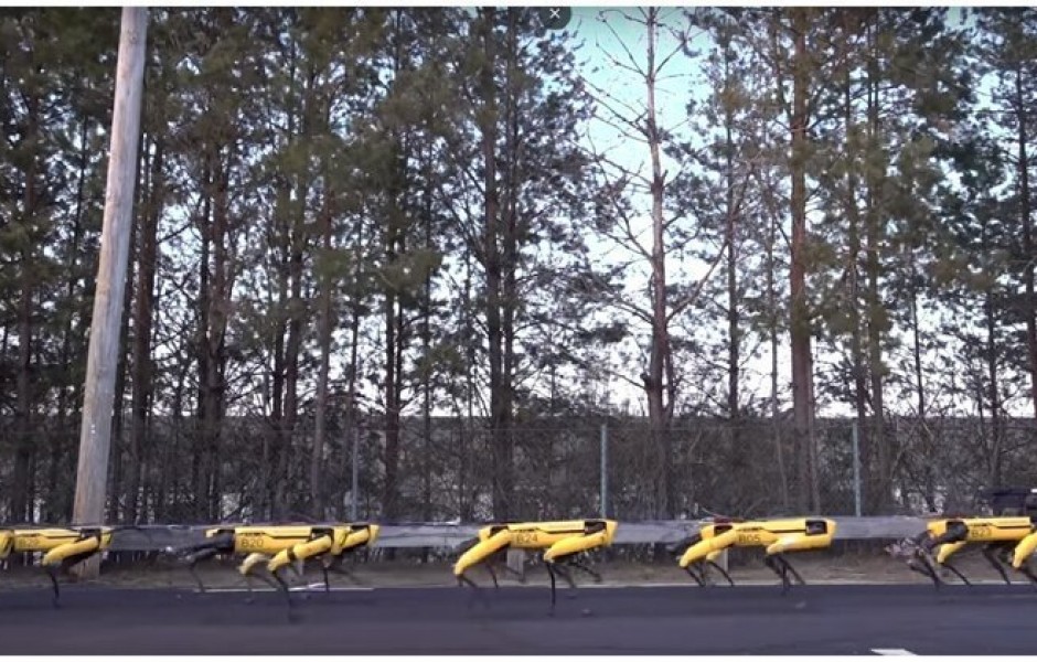 Роботы Boston Dynamics сбились в стаю (видео дня)