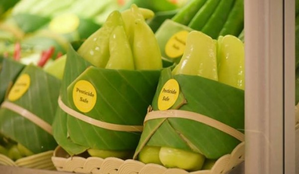 Листья бананов вместо пластиковой упаковки (6 фото)