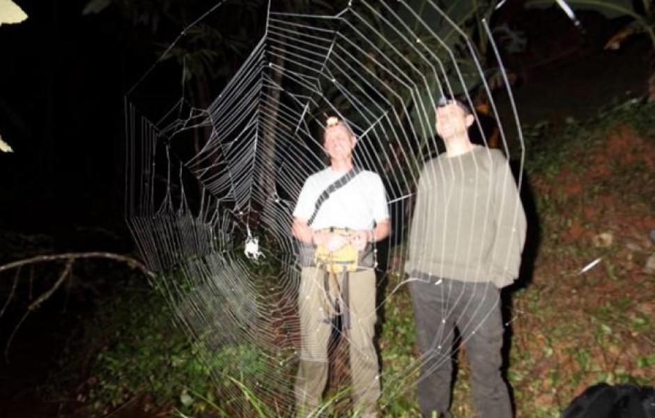 Самая большая паутина в мире (6 фото)