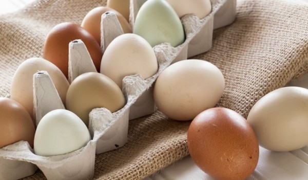 Какие яйца вкуснее: белые или коричневые?