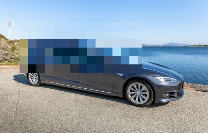 Норвежец сделал из Tesla электрокатафалк и выставил его на продажу (9 фото)