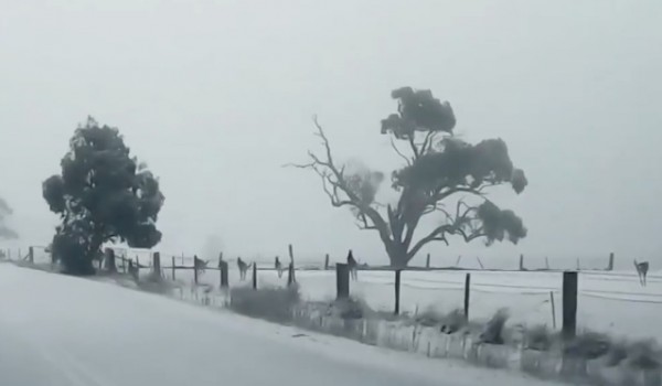 В Австралии выпал снег (видео дня)