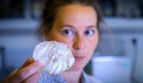 Гастрофизики придумали новый способ приготовления чипсов из медуз ? фото