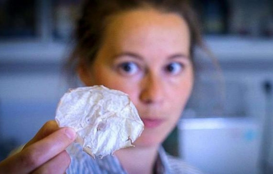Гастрофизики придумали новый способ приготовления чипсов из медуз ? фото