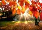 12 симптомов, на которые влияет осень