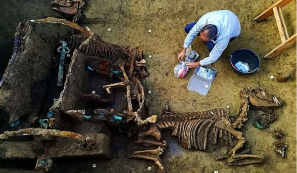 В Хорватии при раскопках нашли римскую колесницу с лошадьми