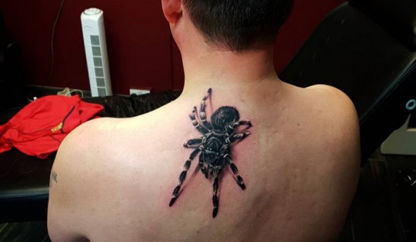 Талантливый мастер создает гиперреалистичные тату в виде пауков и пчел