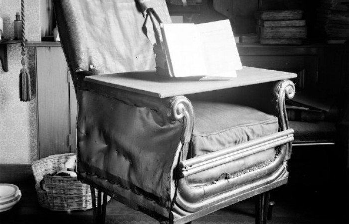 Чарльз Дарвин изобрёл офисный стул