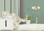 ТОП-10 прикольных вещей для здоровья вашего кота (10 фото)