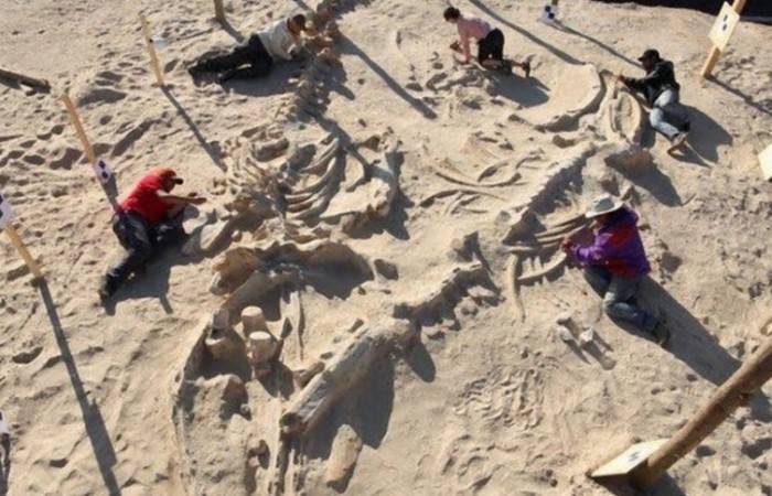 Находки археологов из пустыни, которые озадачили ученых