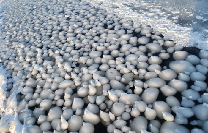 На берегу Финского залива скопились «яйца»