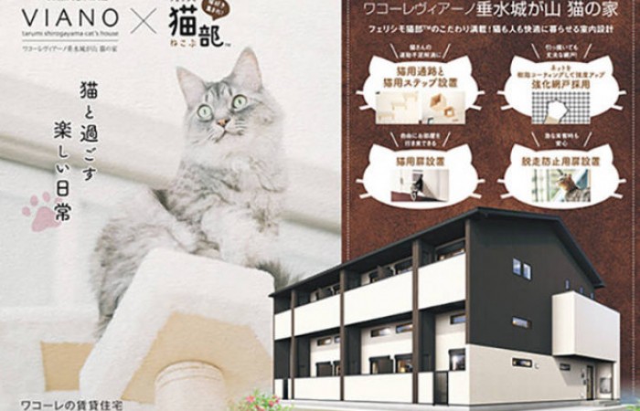 Необычный жилой дом в Японии, спроектированный для одиноких жильцов с кошками
