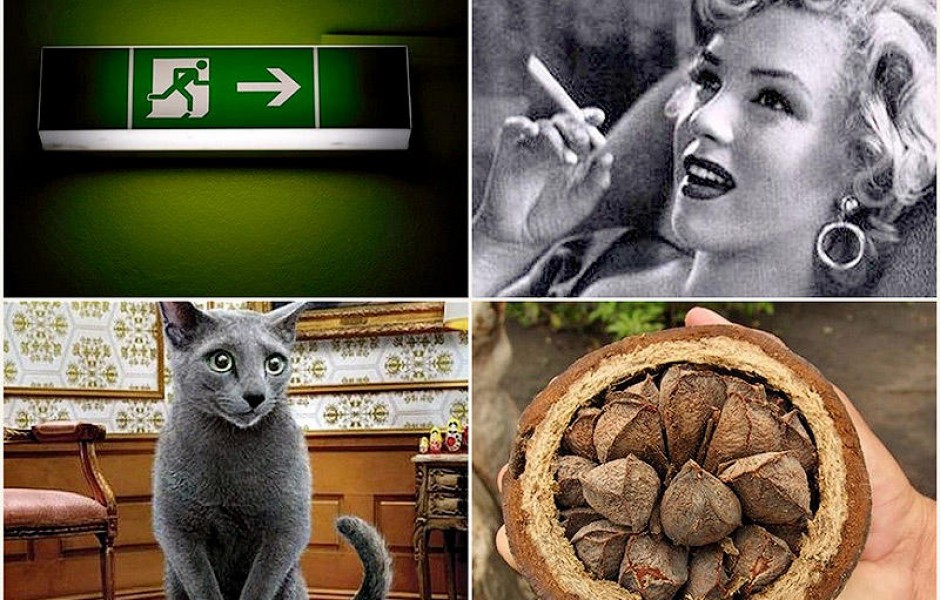 Неожиданно радиоактивные вещи (10 фото)