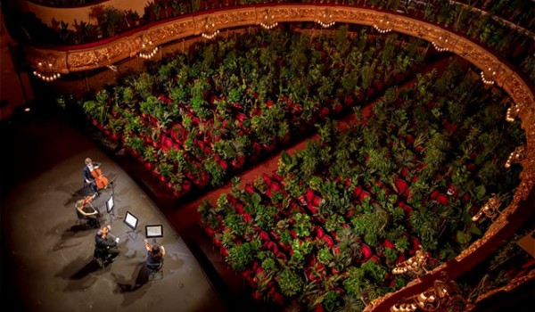 В Барселонском оперном театре дали первый посткарантинный концерт для... 2292 растений (7 фото)