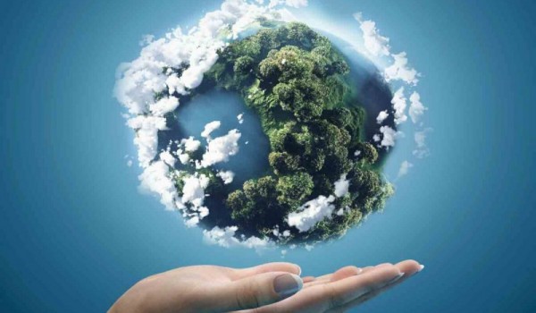 12 Интересных фактов из сферы защиты экологии