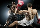15 интересных фактов о боксе