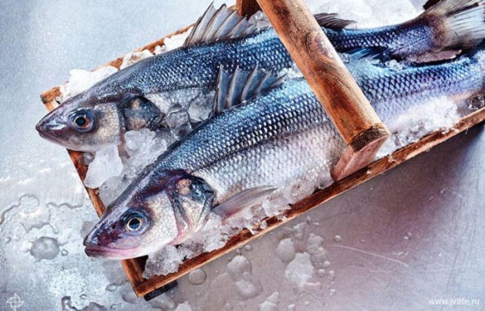 10 удивительных фактов о морепродуктах