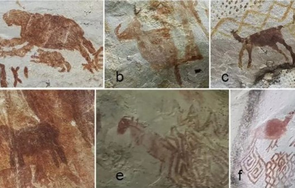 В Колумбии нашли 13-километровую стену из рисунков, которым не менее 12500 лет (5 фото)