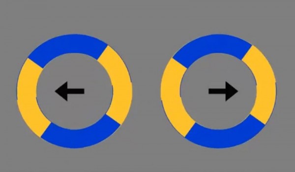 Оптическая иллюзия с двумя вращающимися кругами (фото + видео)