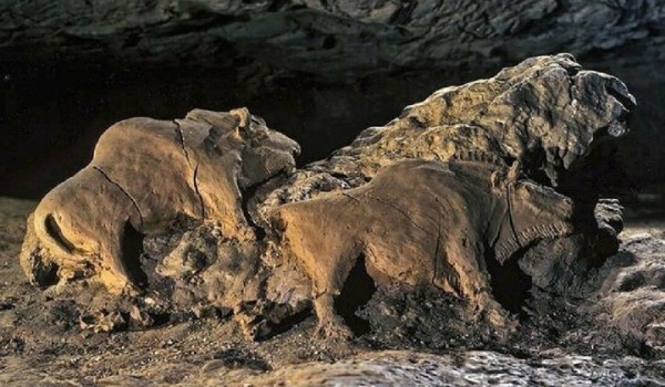 Глиняные зубры возрастом 15 000 лет (4 фото)