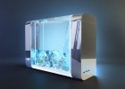 Bluenero: первый «умный» аквариум