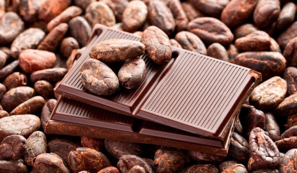 30 вкусных фактов о шоколаде