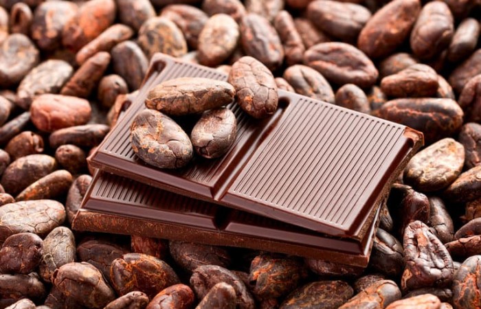 30 вкусных фактов о шоколаде