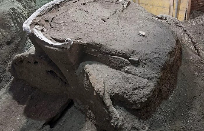 В Италии археологами была обнаружена 2000-летняя римская церемониальная карета