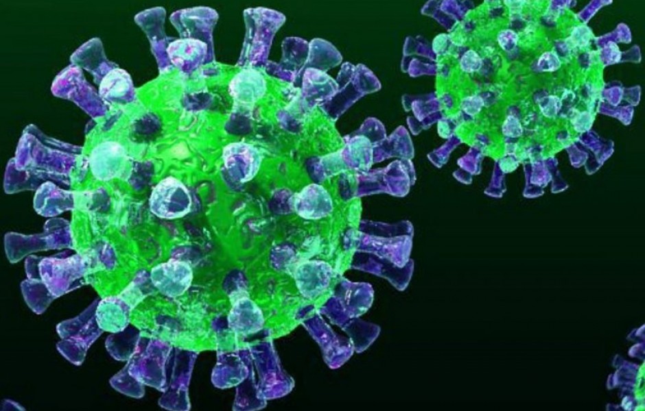 9 неожиданных фактов о коронавирусе