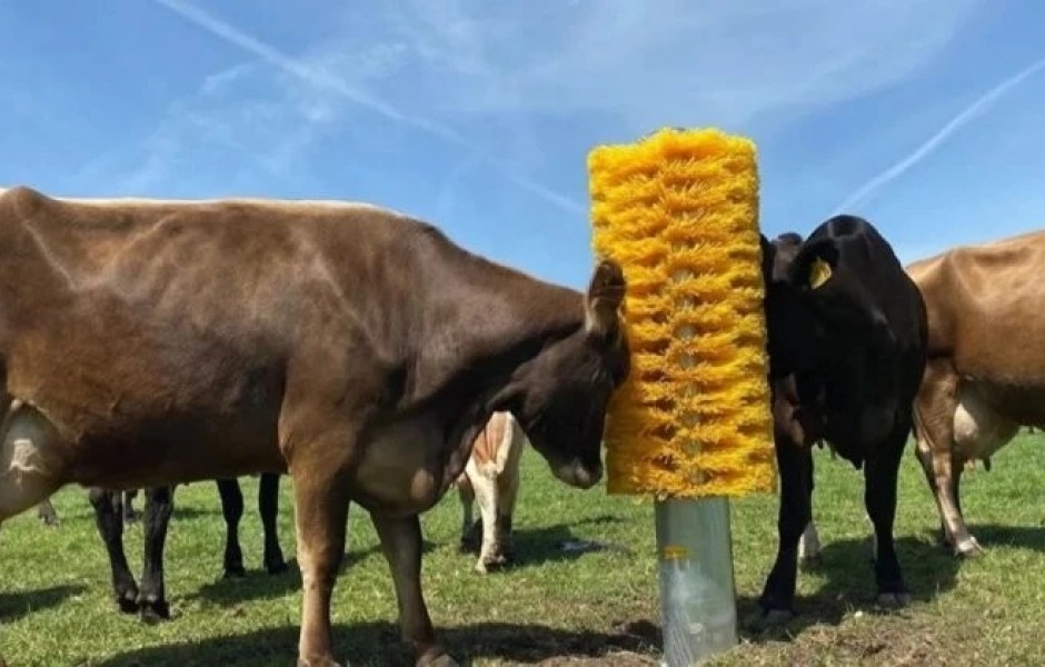 Фермер установил гигантскую щетку на пастбище, и его коровы без ума от нее (1 фото + 1 видео)