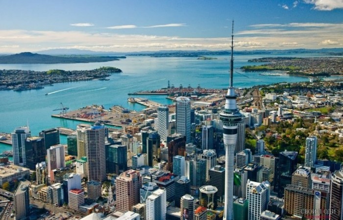 Новозеландский город Окленд был признан самым пригодным для жизни городом в мире