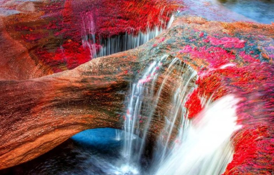 Каньо-Кристалес — самая красивая река на Земле