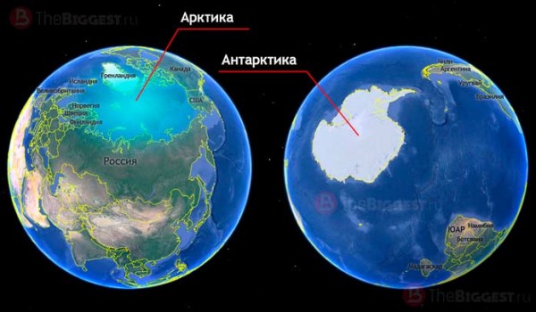 Чем отличается Арктика от Антарктики (главные сходства и различия)