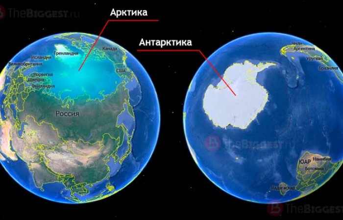 Чем отличается Арктика от Антарктики (главные сходства и различия)