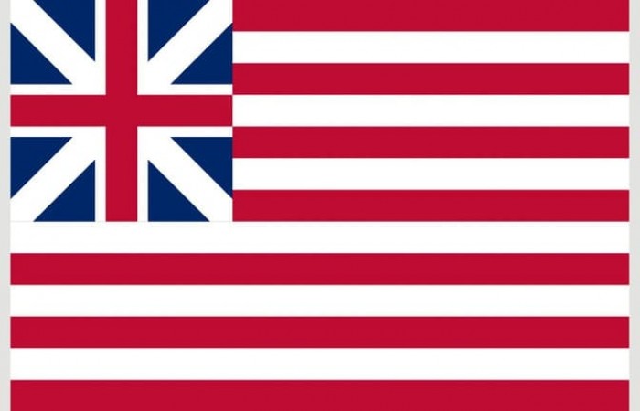 8 альтернативных флагов, каждый из которых мог стать флагом США