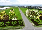 Японская деревня, где каждый год создают огромные картины на рисовых полях (9 фото)