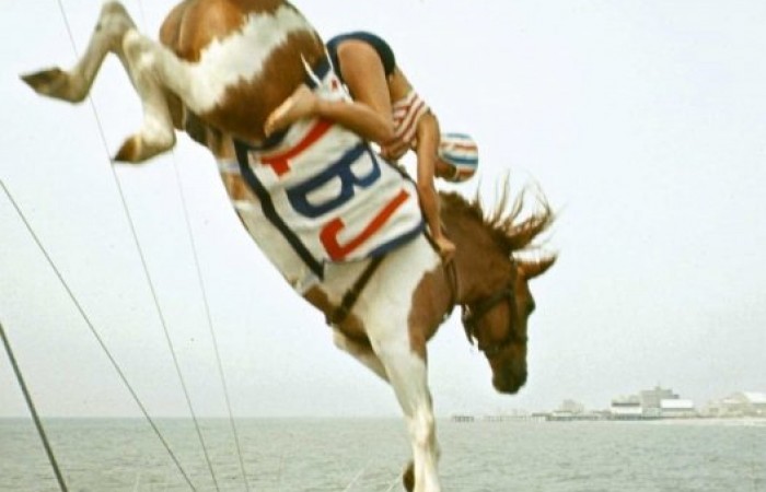 Прыжки в воду на лошадях ? фото + видео
