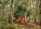 Disney построил настощий дом Винни-Пуха в английском лесу и в нем есть особые правила (3 фото)