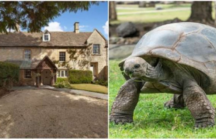 В Англии продается средневековый особняк с 95-летней черепахой