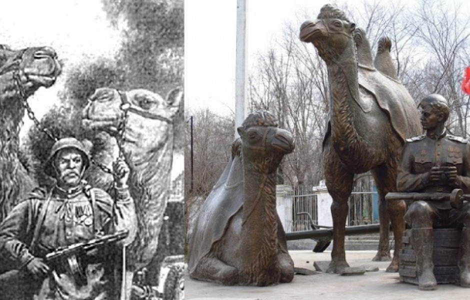 Как верблюды помогали Красной армии в годы Великой Отечественной войны