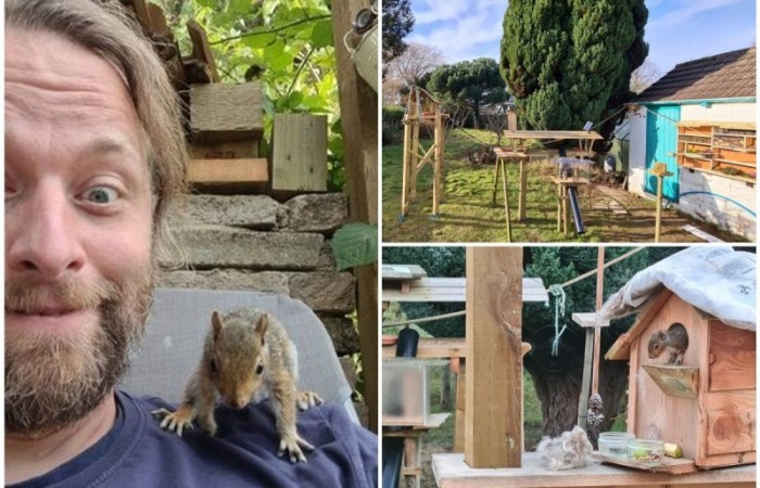 Любитель животных построил миниатюрный развлекательный комплекс для зверушек в своем саду