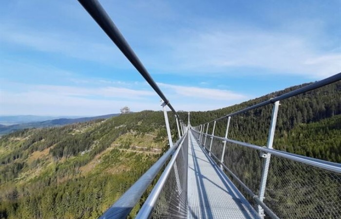 В Чехии открылся самый длинный в мире подвесной мост (7 фото + видео)