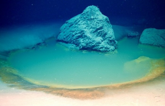 Ученые сделали уникальную глубоководную находку: 