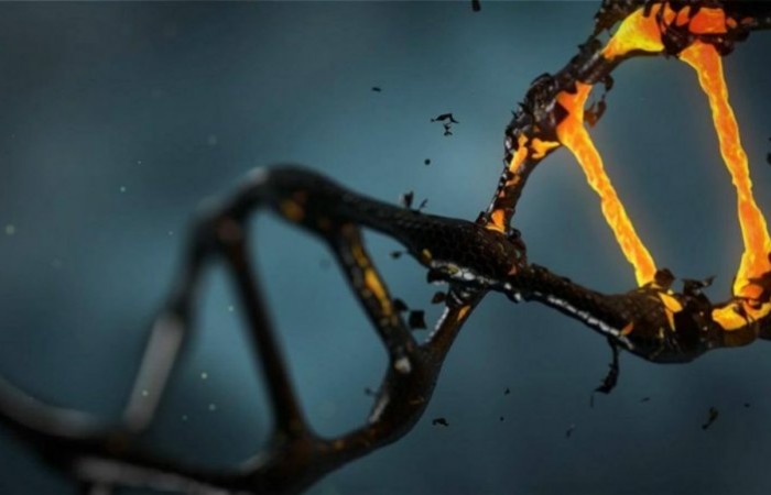 В крови астронавтов нашли признаки мутации ДНК