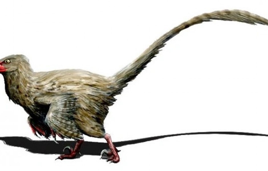 Смешные и необычные динозавры: 10 лучших