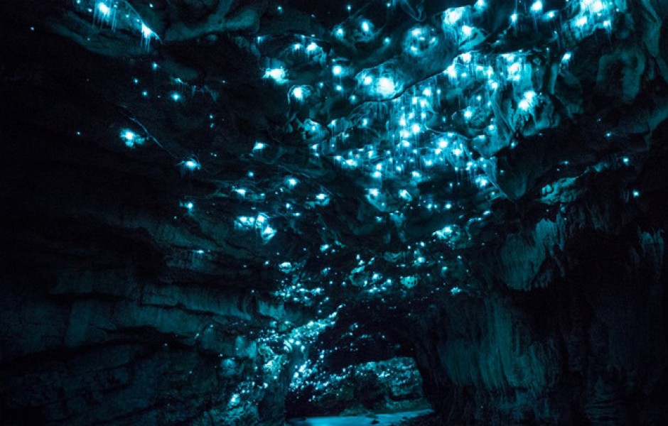 Волшебный свет под землёй: в чём феномен пещеры Вайтомо