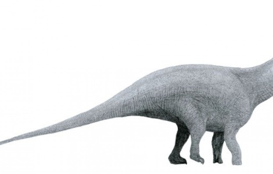 Существовал ли бронтозавр