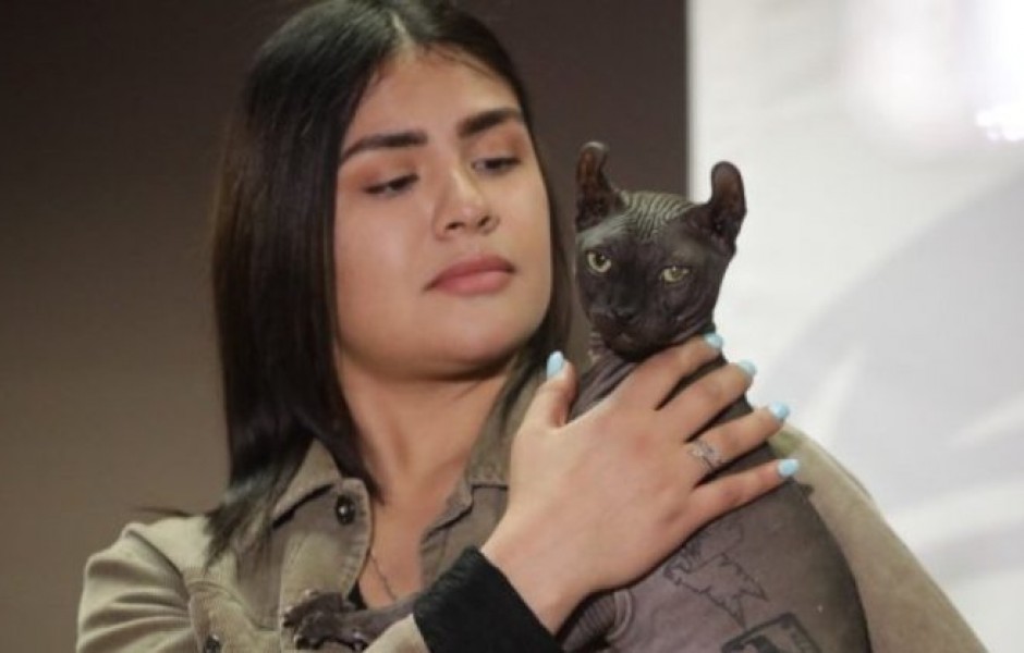 Из мексиканской тюрьмы освободился татуированный кот